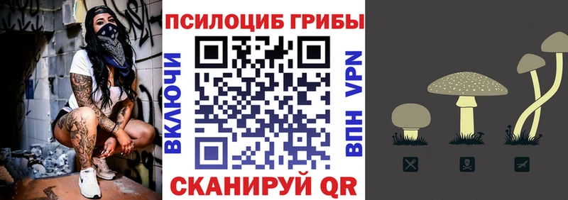 Галлюциногенные грибы MAGIC MUSHROOMS  что такое   ОМГ ОМГ рабочий сайт  Белозерск 